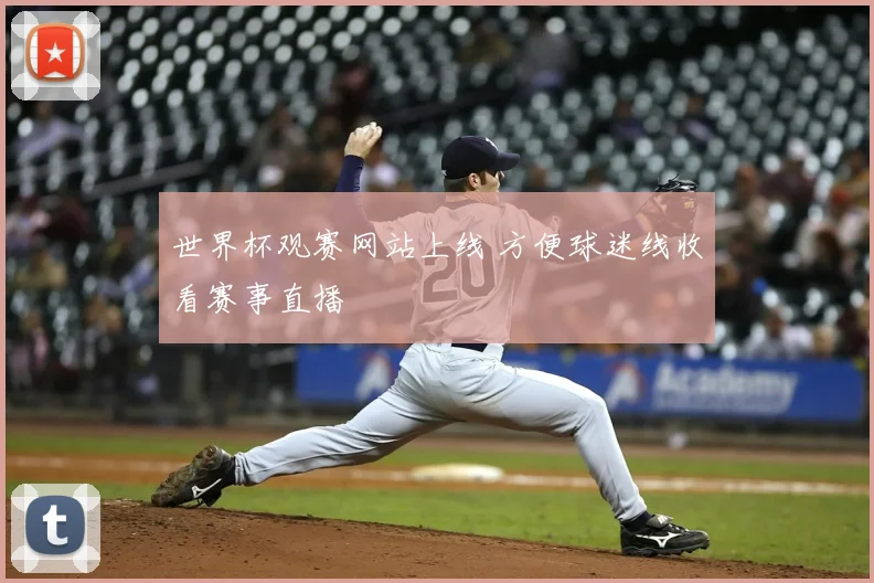 世界杯观赛网站上线 方便球迷线收看赛事直播