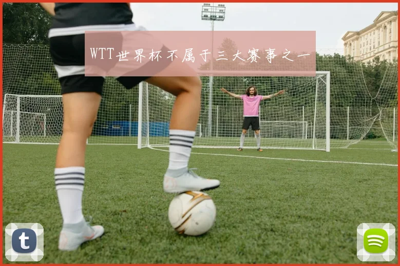 WTT世界杯不属于三大赛事之一